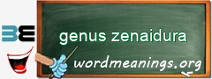 WordMeaning blackboard for genus zenaidura
